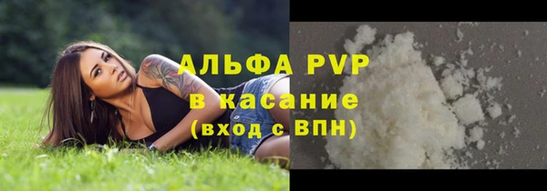 стаф Зерноград