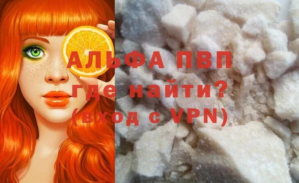 прущие грибы Пролетарск