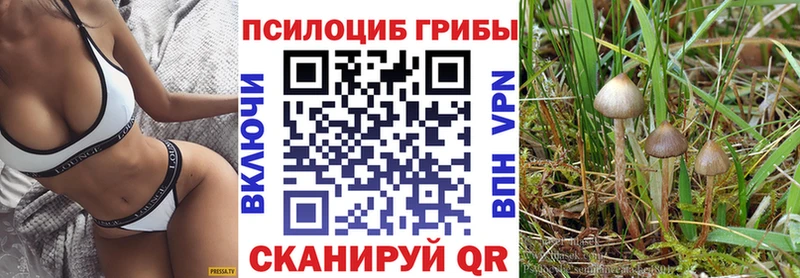 OMG ссылка  Бабушкин  Галлюциногенные грибы прущие грибы 